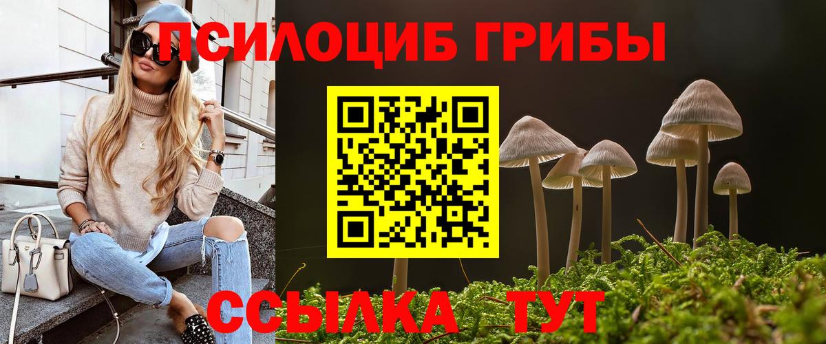 Псилоцибиновые грибы Psilocybine cubensis Шатура