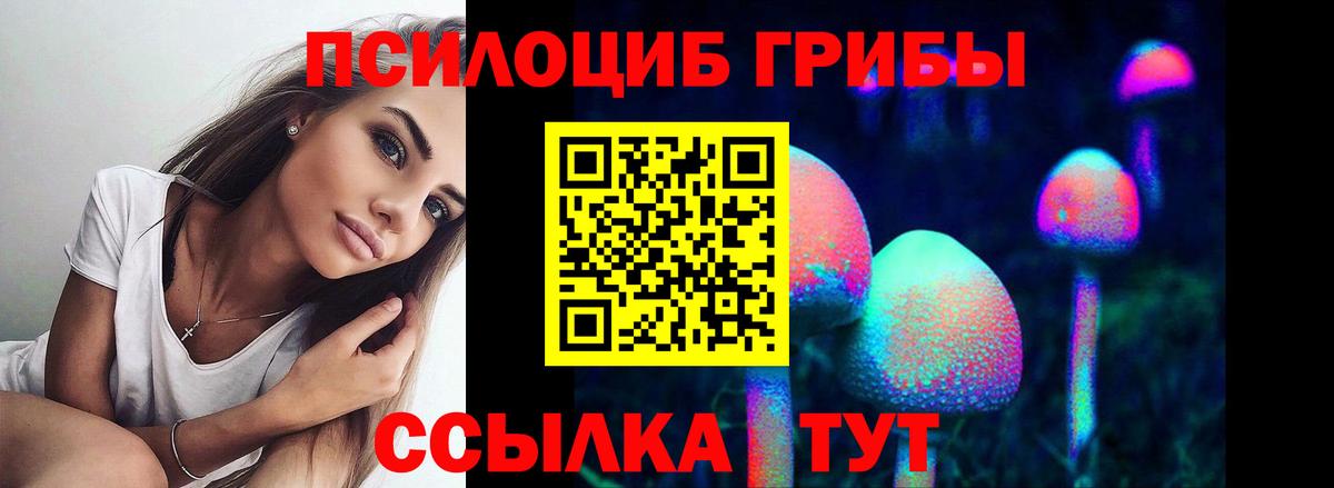 Шатура  Галлюциногенные грибы GOLDEN TEACHER  цены наркотик  Вход с VPN 